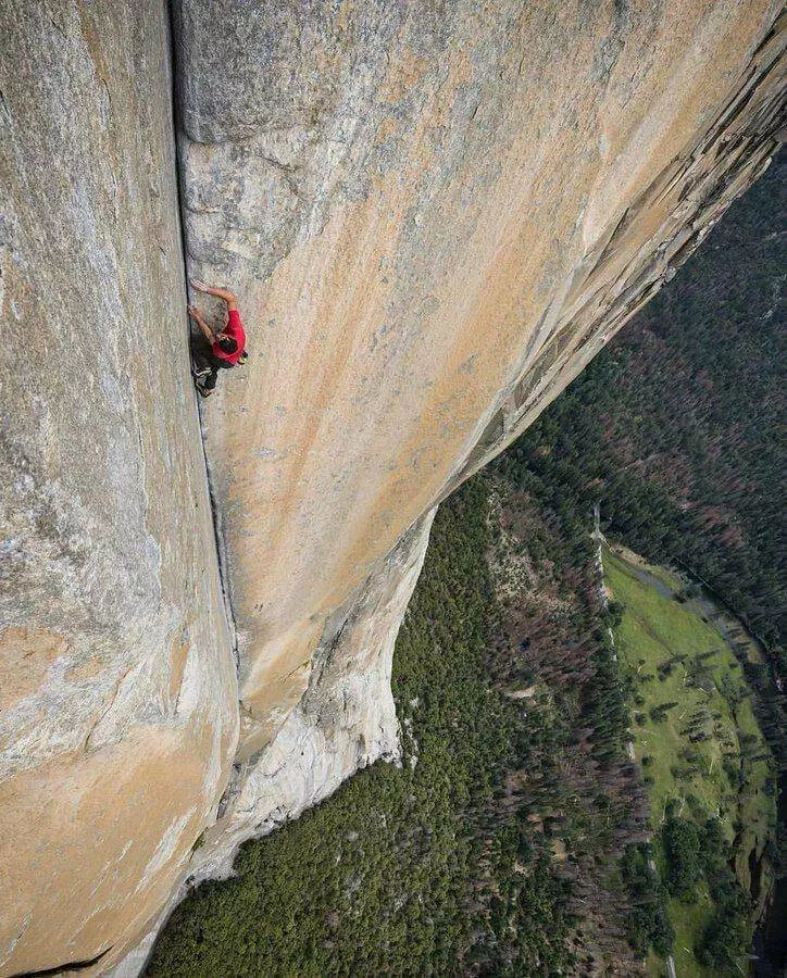 Picdump 942 - #2 