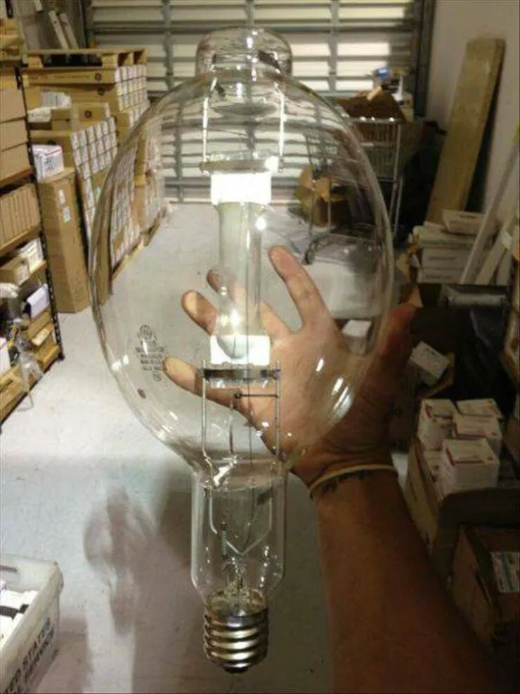 Picdump 942 - #24 