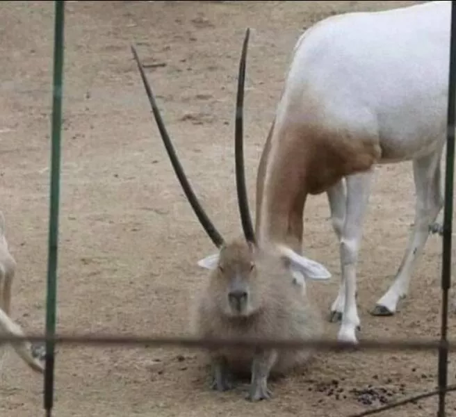 Picdump 942 - #45 