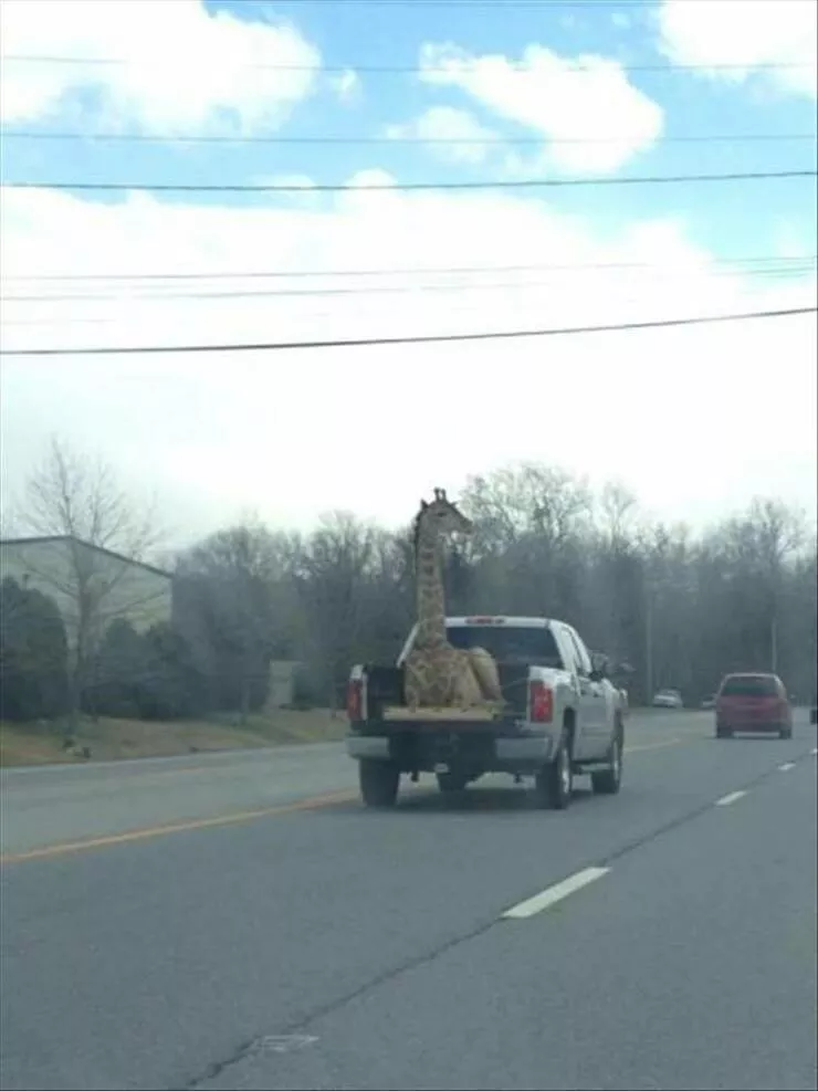 Picdump 942 - #47 