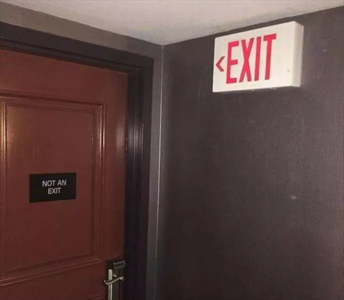 Picdump 942 - #48 