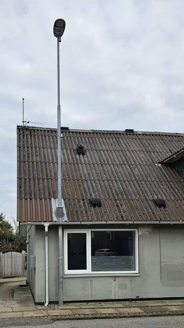Picdump 942 - #9 
