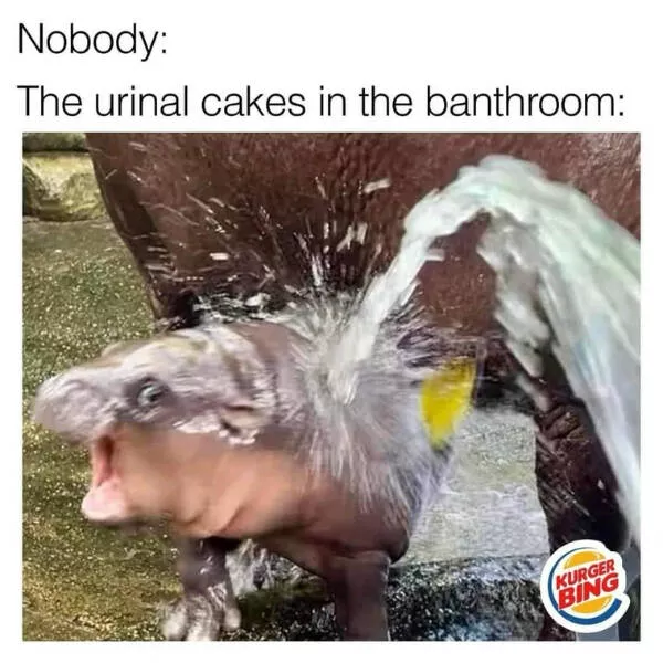 Dont laugh if you dont want to lose - #20 