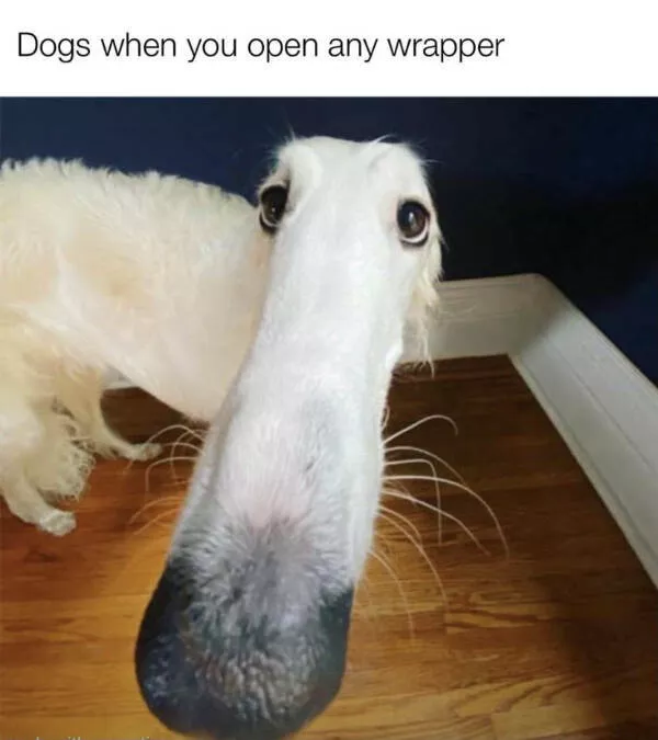 Dont laugh if you dont want to lose