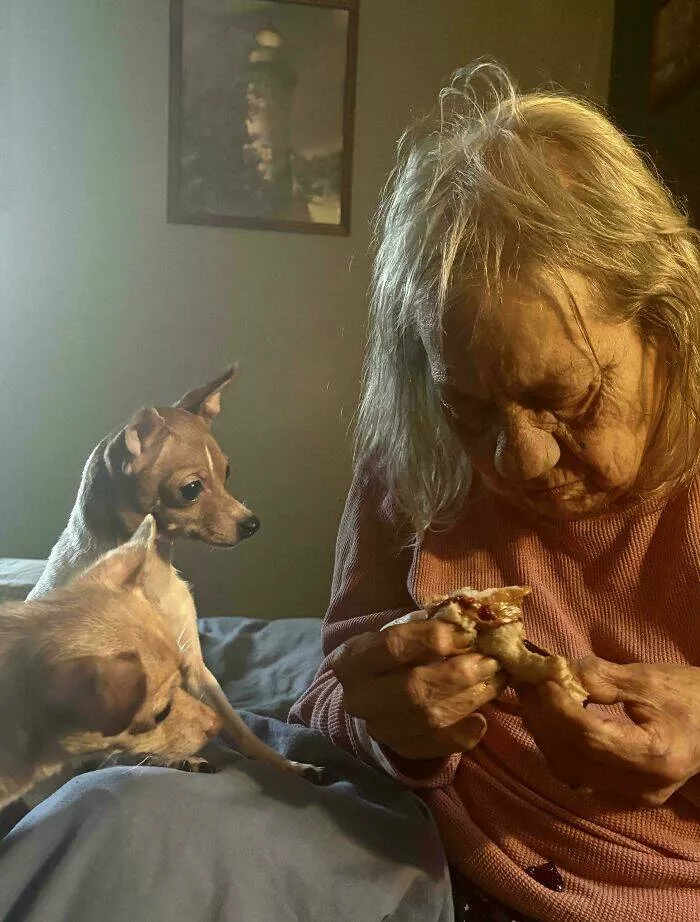 Everyday scenes that look straight out of a renaissance masterpiece - #12 