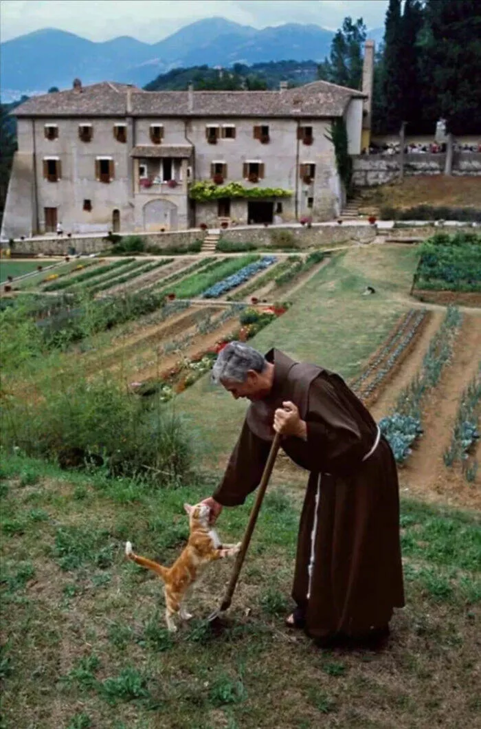 Everyday scenes that look straight out of a renaissance masterpiece - #3 