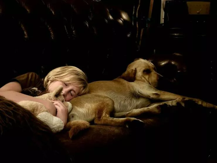 Everyday scenes that look straight out of a renaissance masterpiece - #31 