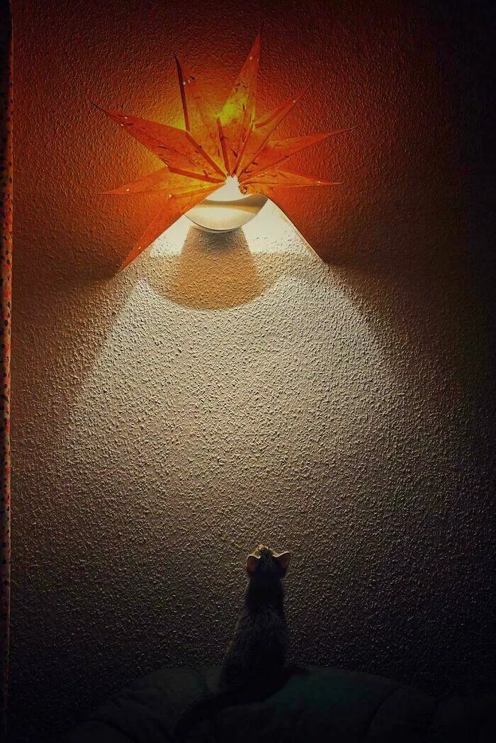 Everyday scenes that look straight out of a renaissance masterpiece - #5 