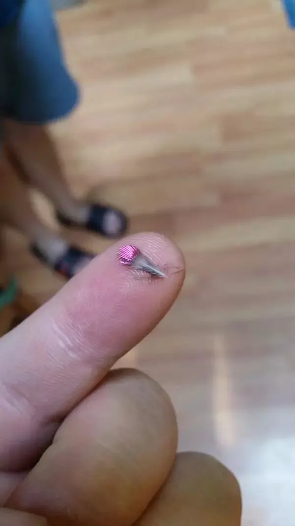 Photos rares eblouissantes qui monttrent la nature comme jamais vue - #5 Cet adorable petit objet est une plume de colibri :