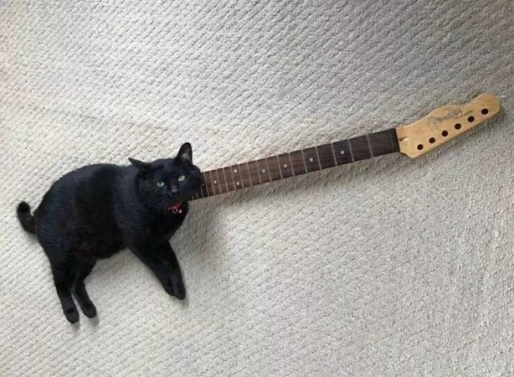 Picdump 945 - #29 