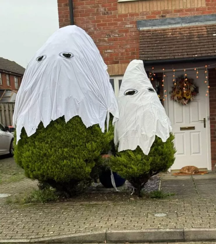 Picdump 945 - #8 