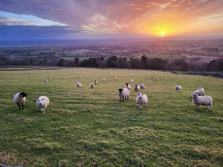 Breathtaking views people snapped right outside their windows - #1 Ravensdale - Ireland. Sunset, Our First Neighbours, Literally Seen Through Our Window!