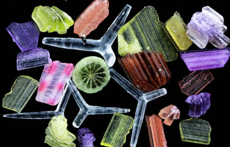 Mindblowing images from nikons 2024 small world contest - #1 Notable Image - Zhang Chao