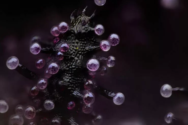 Mindblowing images from nikons 2024 small world contest - #16 3rd Position - Chris Romaine
