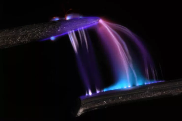 Mindblowing images from nikons 2024 small world contest - #23 2nd Position - Dr. Marcel Clemens