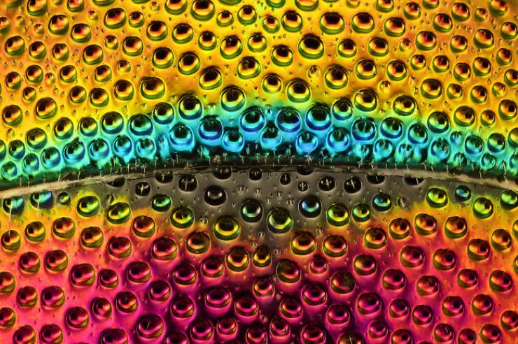 Mindblowing images from nikons 2024 small world contest - #25 