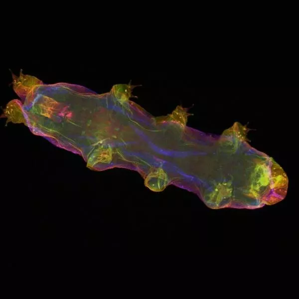 Mindblowing images from nikons 2024 small world contest - #45 