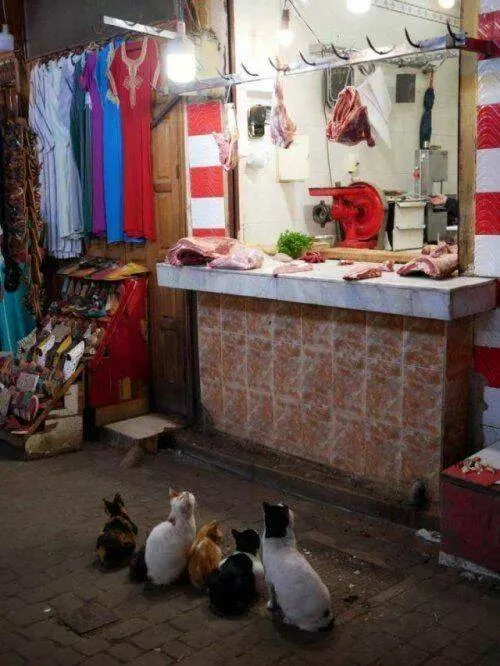 Picdump 947 - #19 