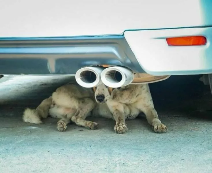 Picdump 947 - #23 