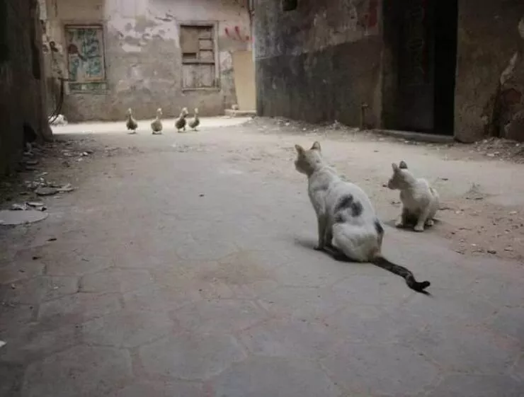 Picdump 947 - #32 