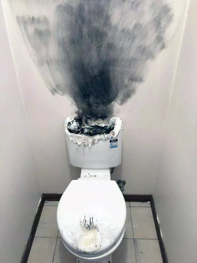 Picdump 947 - #56 