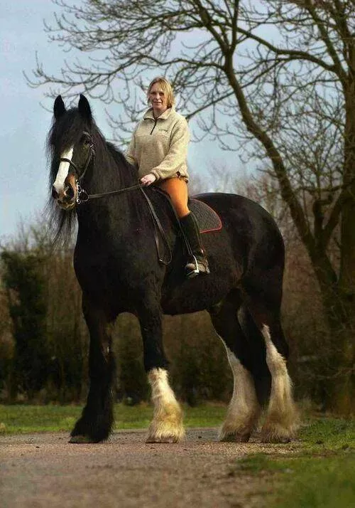 Picdump 947 - #7 