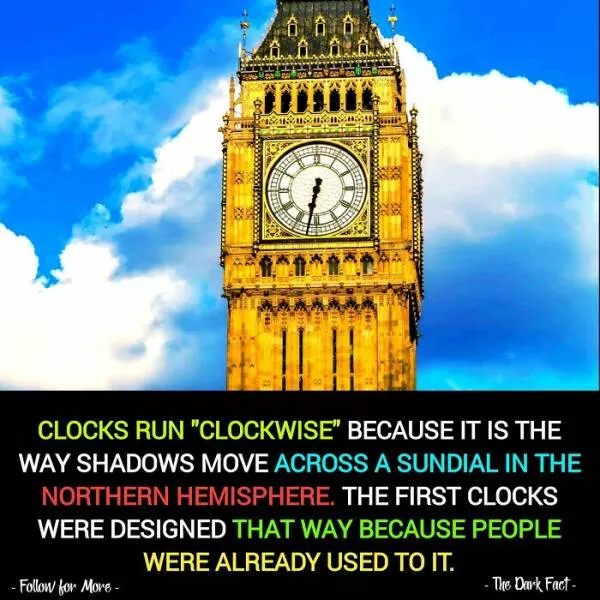 Interesting and unusual facts to save your conversations - #15 