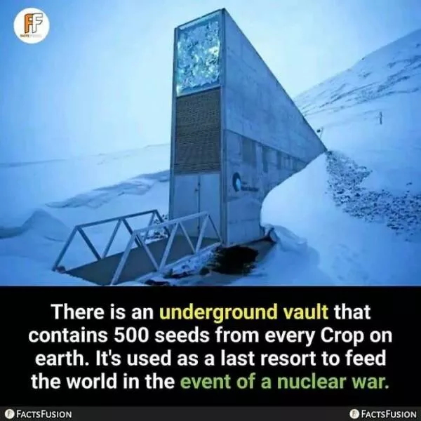 Interesting and unusual facts to save your conversations - #20 