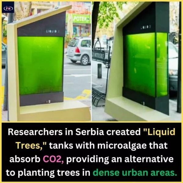 Interesting and unusual facts to save your conversations - #23 