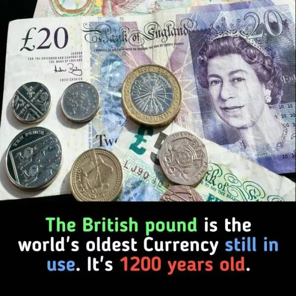 Interesting and unusual facts to save your conversations - #26 