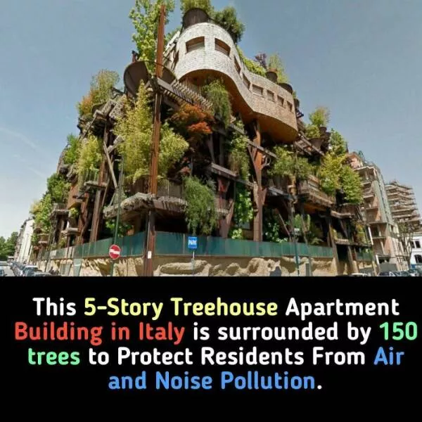 Interesting and unusual facts to save your conversations - #28 