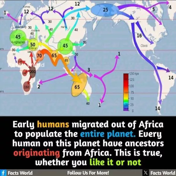 Interesting and unusual facts to save your conversations - #31 
