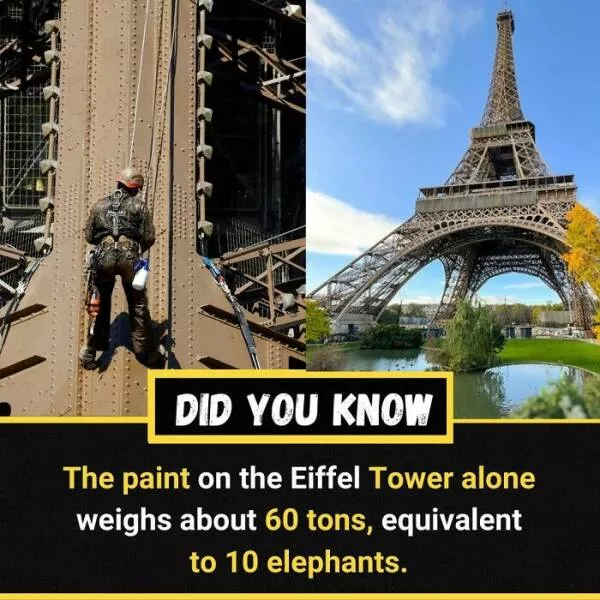 Interesting and unusual facts to save your conversations - #32 