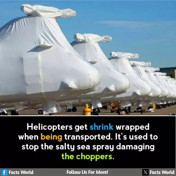 Interesting and unusual facts to save your conversations - #36 