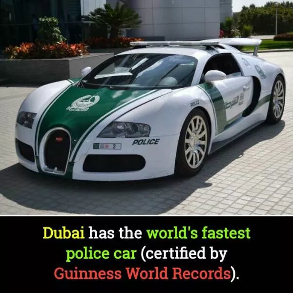 Interesting and unusual facts to save your conversations - #39 