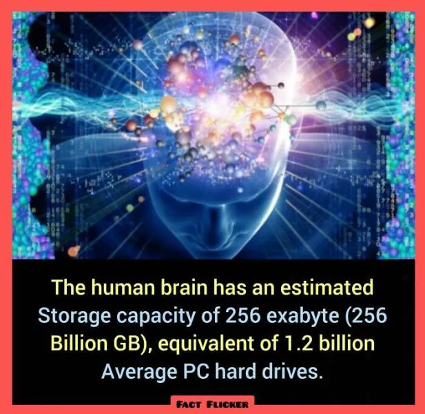 Interesting and unusual facts to save your conversations - #44 Interesting and unusual facts to save your conversations - #44