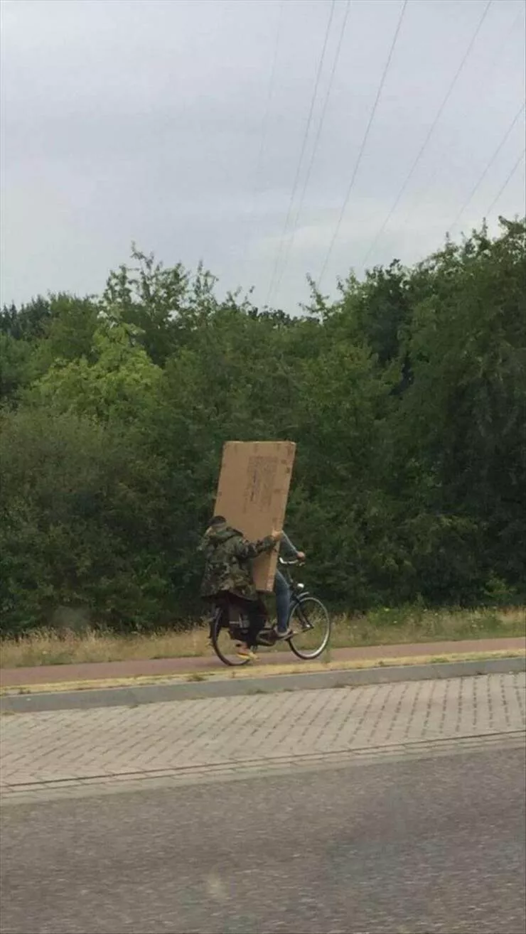 Picdump 948 - #14 