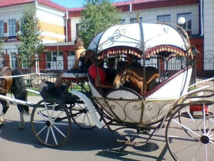 Picdump 948 - #19 