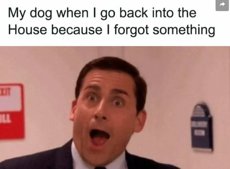 Hilarious truths you didnt know you needed - #2 Hilarious truths you didnt know you needed - #2