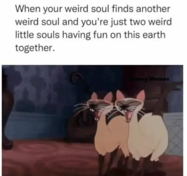 Disney memes that will have everyone laughing - #14 