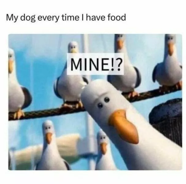 Disney memes that will have everyone laughing - #26 