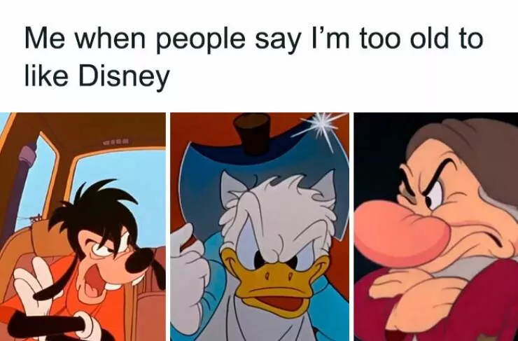 Disney memes that will have everyone laughing - #42 