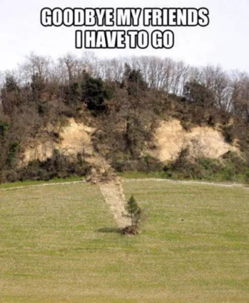 When loneliness becomes too heavy - #33 