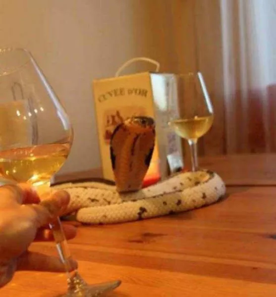 Quand la solitude devient trop lourde - #39 