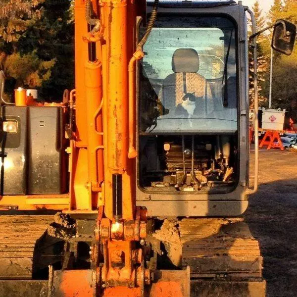 Picdump 950 - #15 