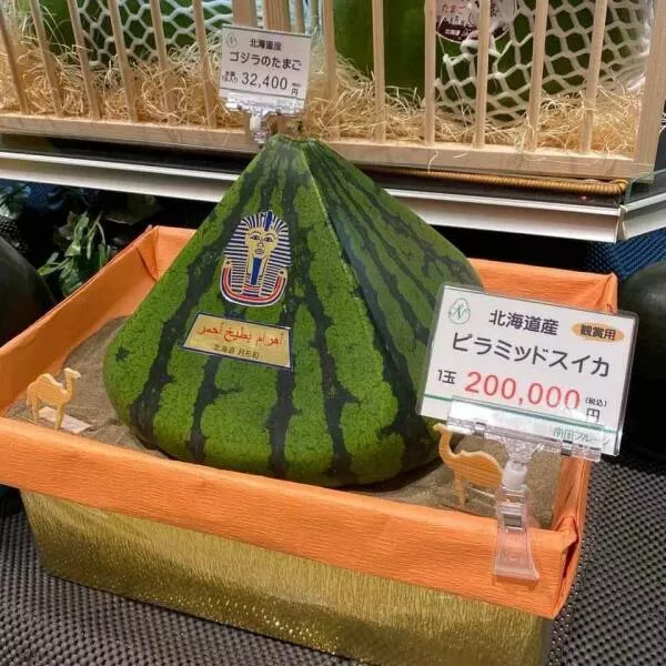 Picdump 950 - #22 