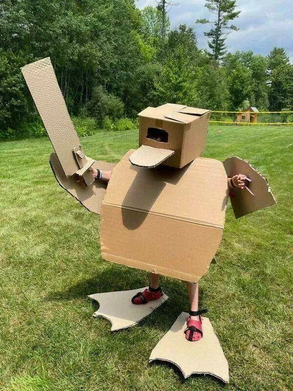 Picdump 950 - #33 