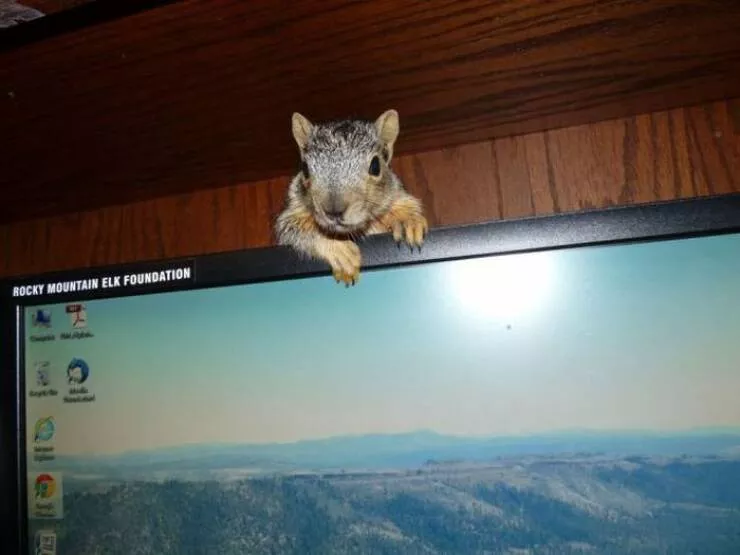 Picdump 950 - #4 