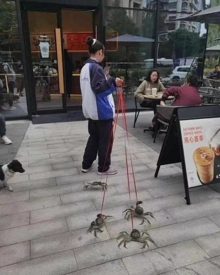 Picdump 950 - #56 