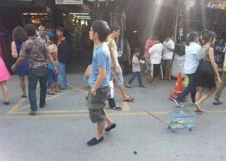 Picdump 950 - #57 